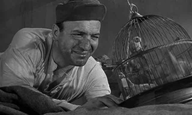 birdman-of-alcatraz_04.jpg