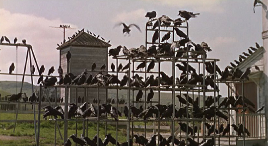 Crows massing in the schoolyard in Alfred Hitchcock's The Birds (1963)