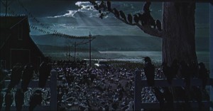 The unresolved ending of Hitchcock's The Birds