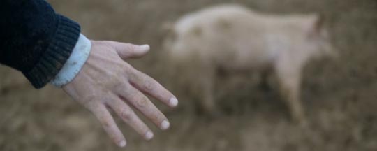 The enigmatic hand permeates Upstream Color