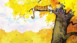 Art of the Comic Strip: <i>Dear Mr. Watterson</i>