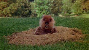 Caddyshack (1980)