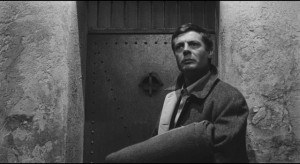 Late summer viewing 2014, part three