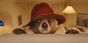 A bear, a detective and the big city