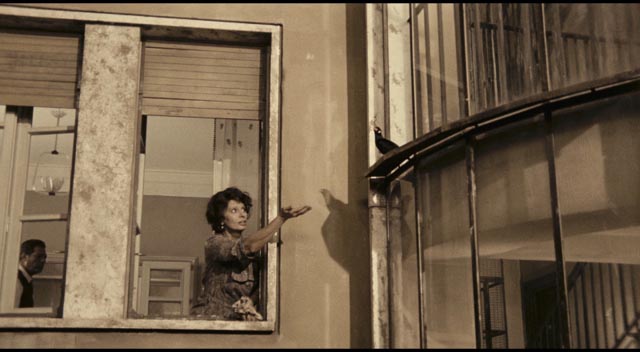 Two lonely people brought together by fate in Ettore Scola's A Special Day (1977)