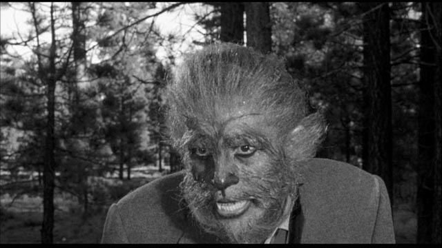 The unfortunate Duncan Marsh (Steven Ritch) in Fred F. Sears' The Werewolf (1956)