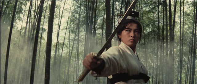 Hsu Feng as Yang Huizhen, the imposing heroine of King Hu's masterpiece A Touch of Zen (1971/75)