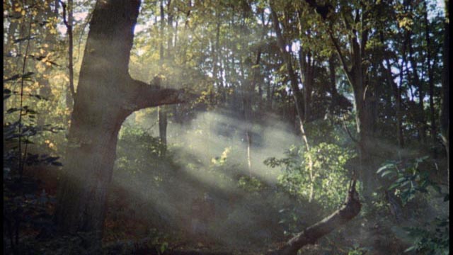 The atmospheric landscape surrounding Helen's haunted country house in Jose Ramon Larraz's Symptoms (1959)