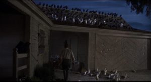 The calm between attacks in Alfred Hitchcock's The Birds (1963)