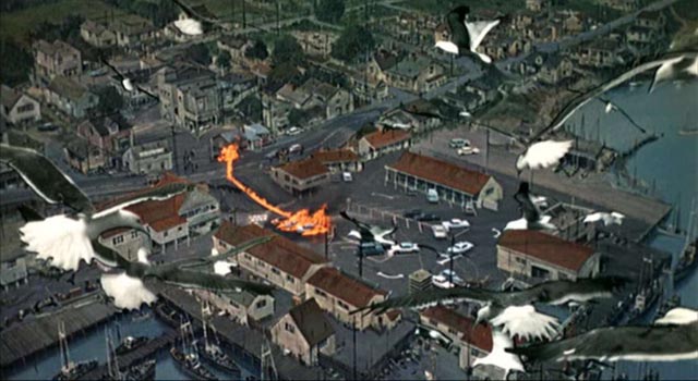 A bird's eye view of Bodega Bay under siege in Alfred Hitchcock's The Birds (1963)