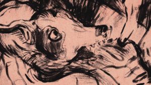 Criterion Blu-ray review: Laurie Anderson&#8217;s <i>Heart of a Dog</i> (2015)