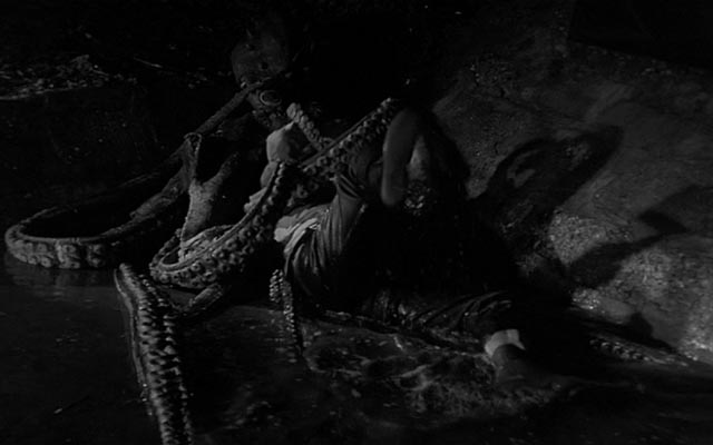 The infamous rubber octopus in Edward D. Wood Jr's Bride of the Monster (1955)