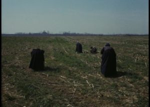 Peasants working the fields in Ermanno Olmi's The Tree of Wooden Clogs (1978)