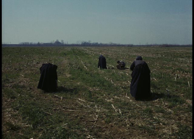 Peasants working the fields in Ermanno Olmi's The Tree of Wooden Clogs (1978)