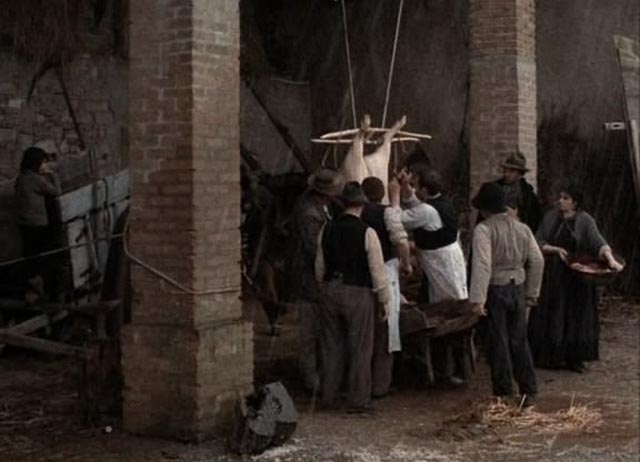 The butchery of a pig is a communal event in Ermanno Olmi's The Tree of Wooden Clogs (1978)