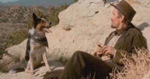 Ethan Hawke and a very talented dog in Ti West's In a Valley of Violence (2016)
