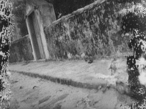 Nitrate decay in Mario Peixoto's Limite (1931)