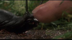 The signature image from J.P. Simon's adaptation of Shaun Hutson's Slugs (1988)