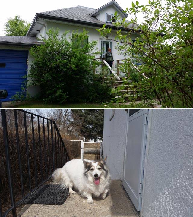 The second house in Neepawa, and my mother's dog Nell at the back door