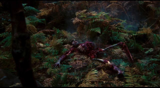 ... and what's left falls to the forest floor