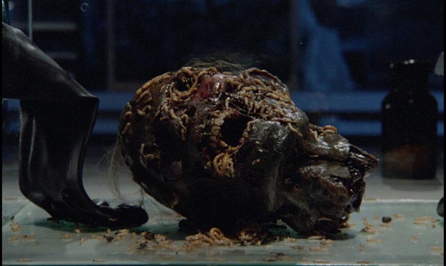 Insects rule in Dario Argento's Phenomena (1985)