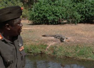 Amin doesn't mention that the crocodiles are his chosen method for disposing of his murder victims in Barbet Schroeder's General Idi Amin Dada: A Self-Portrait (1974)