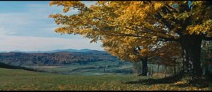 An idyllic landscape conceals sordid behaviour in a sedate New England town in Mark Robson's Peyton Place (1957)