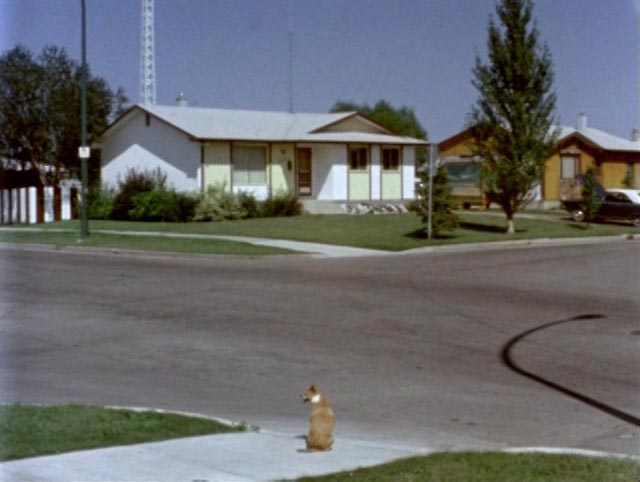 The suburbs as alien landscape in John Paizs' Springtime in Greenland (1981)