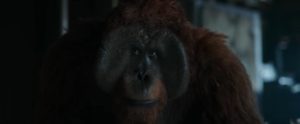 Karin Konoval as Maurice, the conscience of the apes in Matt Reeves' War for the Planet of the Apes (2017)