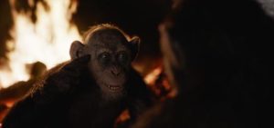 Steve Zahn as Bad Ape in Matt Reeves' War for the Planet of the Apes (2017)
