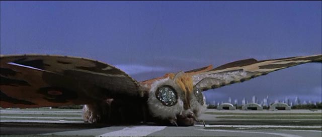 The full-grown Mothra puts down on a landing field