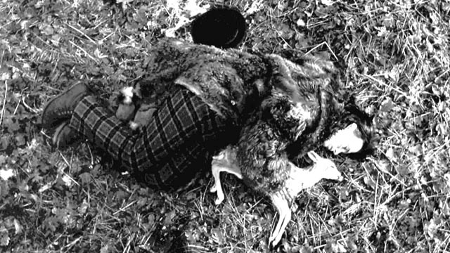 Dead Man (1995) The Criterion Collection
