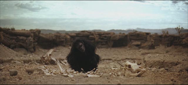 Our ancestors discover tools and weapons with the help of an alien force in Stanley Kubrick's 2001: A Space Odyssey (1968)