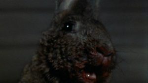 "That rabbit is dynamite!" - not: William F. Claxton's Night of the Lepus (1972)