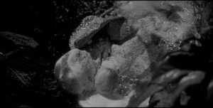 A pod gives birth to a duplicate in Don Siegel's Invasion of the Body Snatchers (1956)