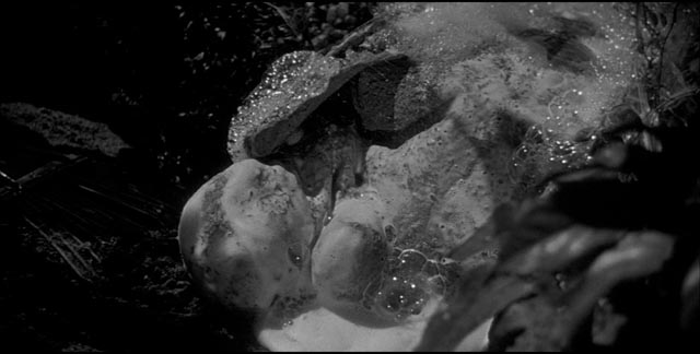 A pod gives birth to a duplicate in Don Siegel's Invasion of the Body Snatchers (1956)
