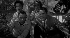 Fear becomes real when pods are discovered in the Belicec's greenhouse in Don Siegel's Invasion of the Body Snatchers (1956)