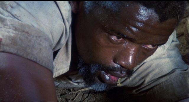 Helpless African leader Julius Limbani (Winston Ntshona) in need of White rescue in Andrew V. McLaglen's The Wild Geese (1978)