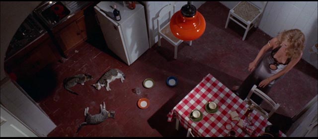 You know it's bad when the killer poisons the cats: Umberto Lenzi's Seven Blood-Stained Orchids (1972)