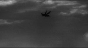 The bug in flight looks quite different from its close-ups in Nathan Juran's The Deadly Mantis (1957)