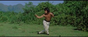 Jackie Chan as Wong Fei-hung practices drunken kung-fu in Yuen Woo-ping's Drunken Master (1978)