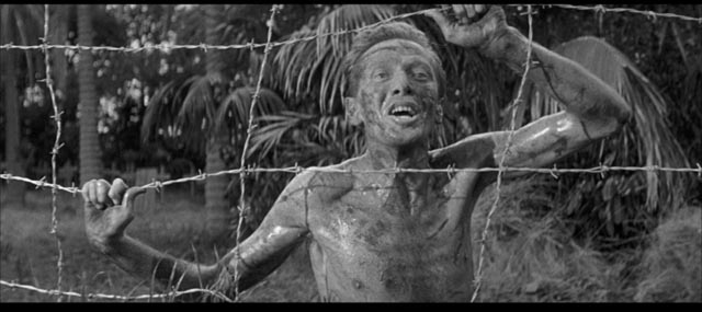 Richard Wordsworth as a British prisoner murdered by the Japanese in Val Guest's The Camp on Blood Island (1958)