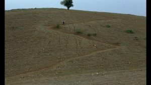 This hill, this tree, this zigzag path connect the three films of Abbas Kiarostami's The Koker Trilogy (1987-94)