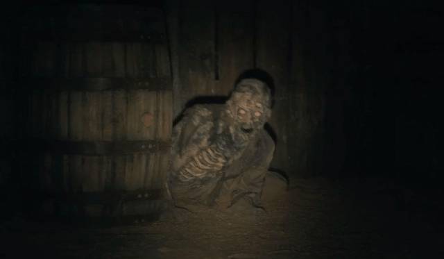 There's something hiding in the basement in Mike Flanagan's The Haunting of Hill House (2019)