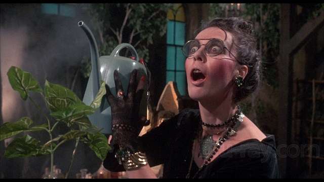 Deborah Reed as the demented Goblin Queen in Claudio Fragasso's Troll 2 (1991)