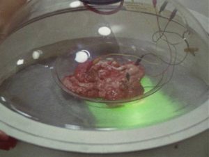 Calf's brain ready for transplant in Al Adamson's bottom-of-the-barrel Brain of Blood (1971)