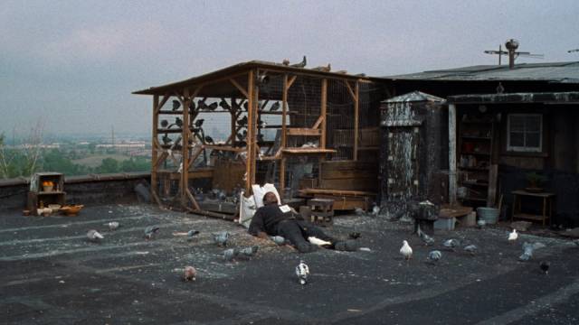 Ghost Dog (Forest Whitaker) relaxes with his pigeons in Jim Jarmusch's Ghost Dog: The Way of the Samurai (1999)