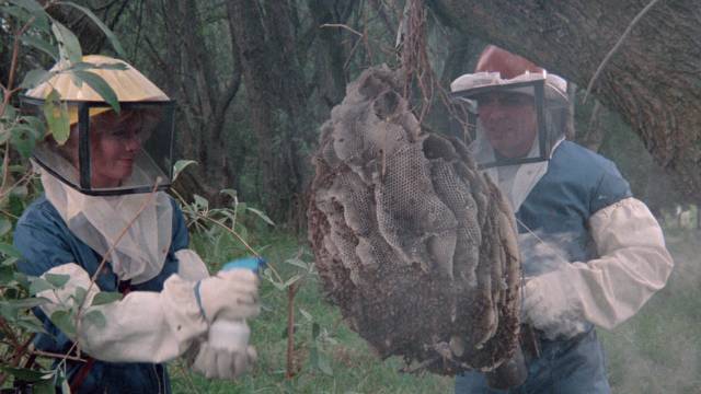 Best not to poke the hive in Alfredo Zacarias' The Bees (1978)