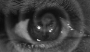 <i>Inner Sanctum Mysteries</i> on Blu-ray