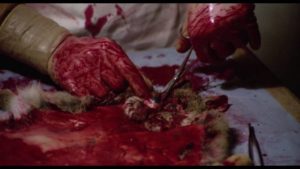 Home-made taxidermy adds to the atmosphere in Filippo Walter Ratti’s Crazy Desires of a Murderer (1977)